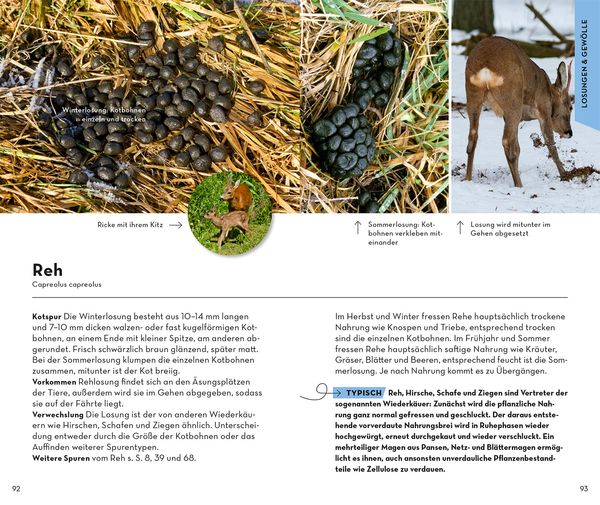 Produktbild: BASIC Tierspuren