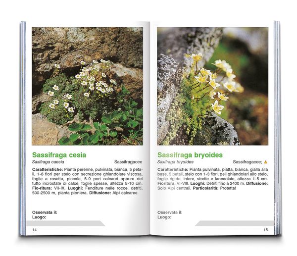 Produktbild: Fiori alpini