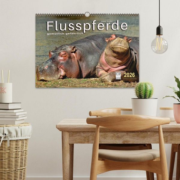 Produktbild: Flusspferde - gem&uuml;tlich gef&auml;hrlich (Wandkalender 2026 DIN A3 quer), CALVENDO Monatskalender