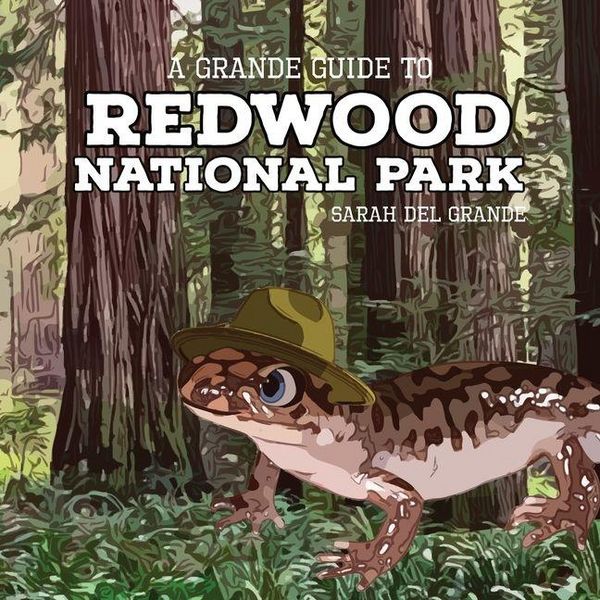 Produktbild: Redwood National Park