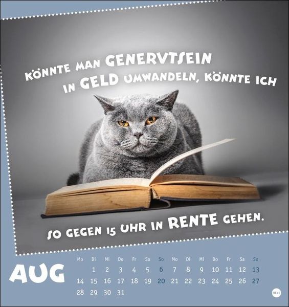 Mach mal Pause Postkartenkalender 2023. Kleiner Tierkalender mit lustigen Sprüchen. Kalender zum Aufstellen oder Aufhängen, mit witzigen Postkarten
