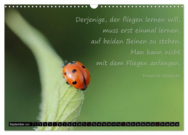 Produktbild: Das kleine, gro&szlig;e Gl&uuml;ck (Wandkalender 2027 DIN A3 quer), CALVENDO Monatskalender