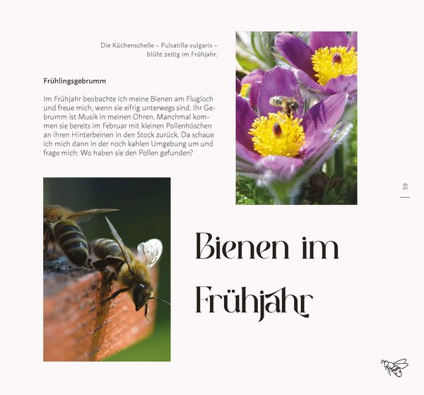 Produktbild: Faszination Wildkr&auml;uter