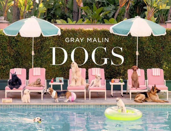 Produktbild: Gray Malin: Dogs