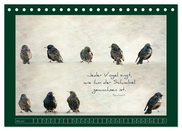 Produktbild: Stare und Weisheiten (Tischkalender 2027 DIN A5 quer), CALVENDO Monatskalender