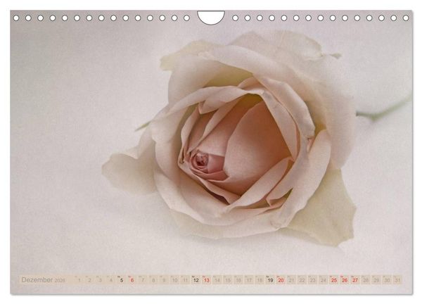 Produktbild: Momente der Stille (Wandkalender 2026 DIN A4 quer), CALVENDO Monatskalender
