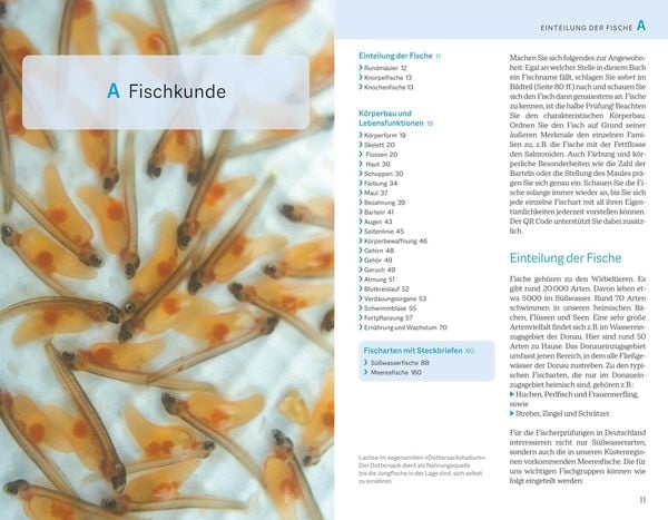 Fischerprüfung