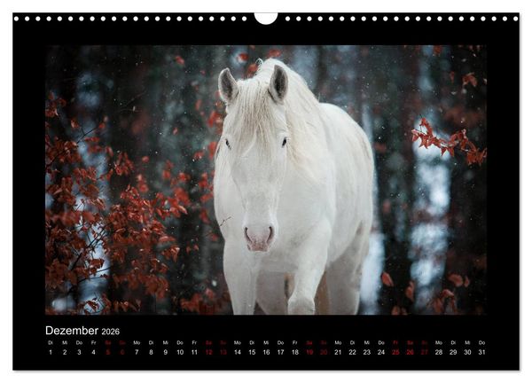 Produktbild: Die Faszinierende Welt der Pferde (Wandkalender 2026 DIN A3 quer), CALVENDO Monatskalender