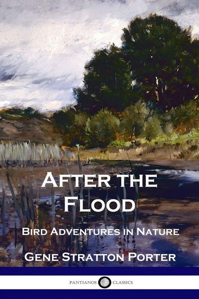 Produktbild: After the Flood