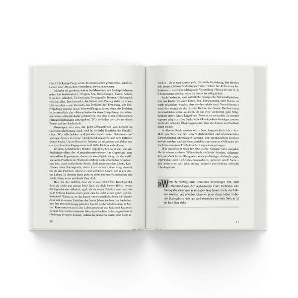 Produktbild: Die 12 Schritte aus der Sucht