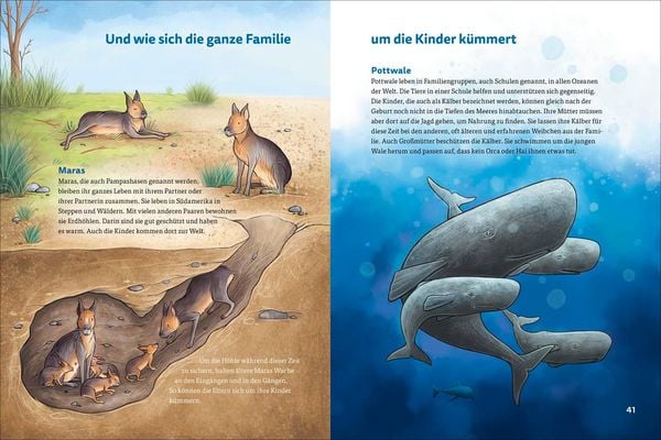 Produktbild: Die kunterbunte Welt der Tierfamilien