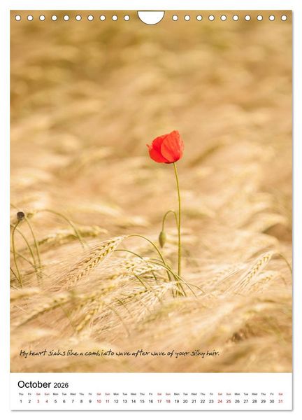 Produktbild: Rumi in Love (Wall Calendar 2026 DIN A4 portrait), CALVENDO 12 Month Wall Calendar