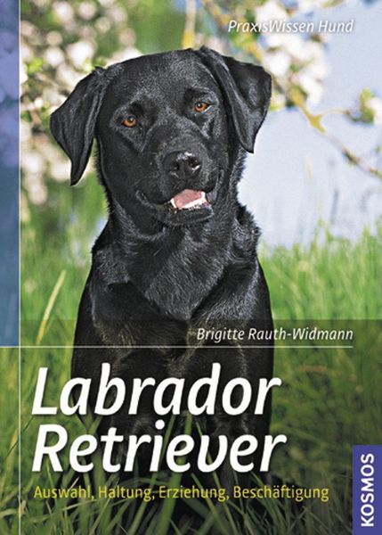 Produktbild: Labrador Retriever