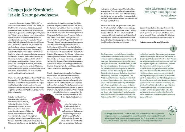 Produktbild: Heilen mit pflanzlichen Antibiotika