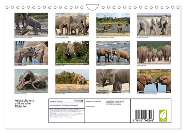 Produktbild: Asiatische und afrikanische Elefanten (Wandkalender 2026 DIN A4 quer), CALVENDO Monatskalender