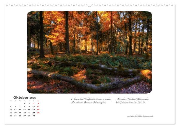 Produktbild: Max Dauthendey - Mit dem Wald durchs Jahr (hochwertiger Premium Wandkalender 2026 DIN A2 quer), Kunstdruck in Hochglanz