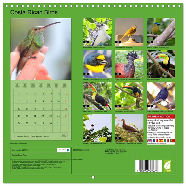 Produktbild: Costa Rican Birds (Wall Calendar 2026 12 &times; 12 Inch) CALVENDO 12 Month Wall Calendar