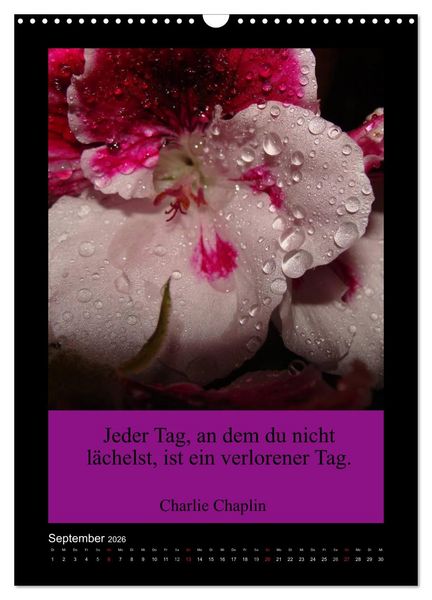 Produktbild: Lebensweisheiten mit Blumigen Gr&uuml;&szlig;en (Wandkalender 2026 DIN A3 hoch), CALVENDO Monatskalender