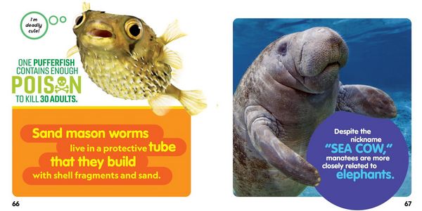 Produktbild: Weird But True! Ocean