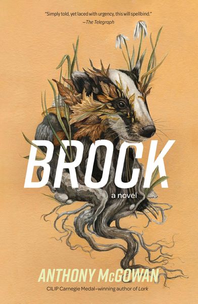 Produktbild: Brock