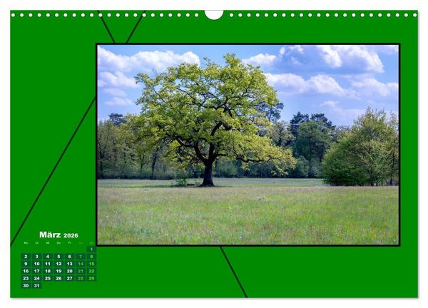 Produktbild: Heilende Farbe Gr&uuml;n (Wandkalender 2026 DIN A3 quer), CALVENDO Monatskalender