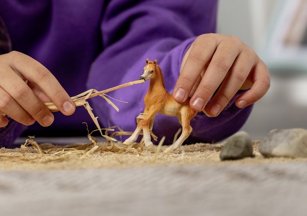 Produktbild: schleich&reg; 13984 Araber Fohlen