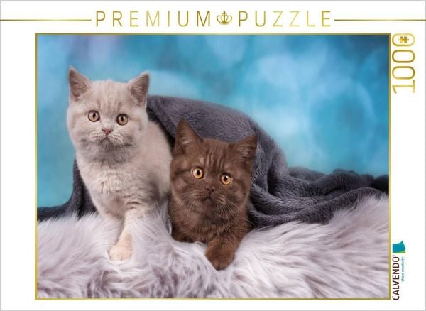 CALVENDO Puzzle Beste Freunde | 1000 Teile Lege-Größe 64x48cm Foto-Puzzle für glückliche Stunden, Sonstige von , Calvendo Puzzle, 4059477275370
