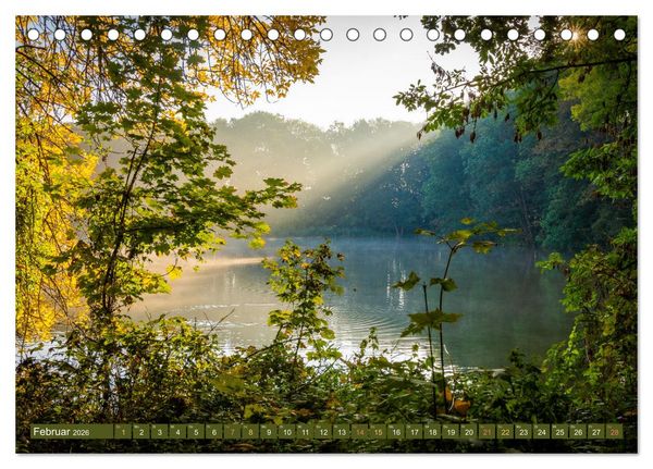 Produktbild: Herbst im Dieskauer Park (Tischkalender 2026 DIN A5 quer), CALVENDO Monatskalender