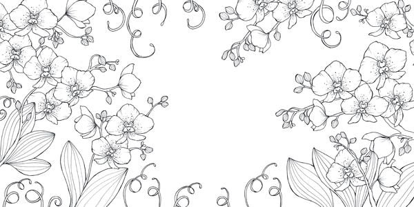 Produktbild: Bl&uuml;tentraum &ndash; Florale Motive ausmalen