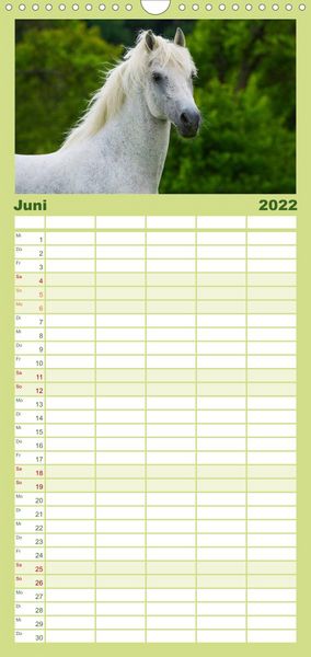 Produktbild: Welt der Pferde - Familienplaner hoch (Wandkalender 2022 , 21 cm x 45 cm, hoch)