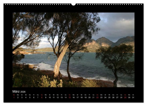 Produktbild: W&auml;lder, fotografiert auf vier Kontinenten (hochwertiger Premium Wandkalender 2026 DIN A2 quer), Kunstdruck in Hochglanz