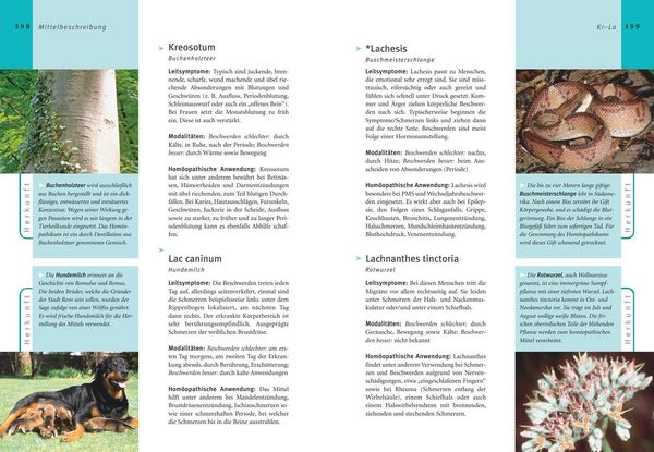 Produktbild: Hom&ouml;opathie - Das gro&szlig;e Handbuch