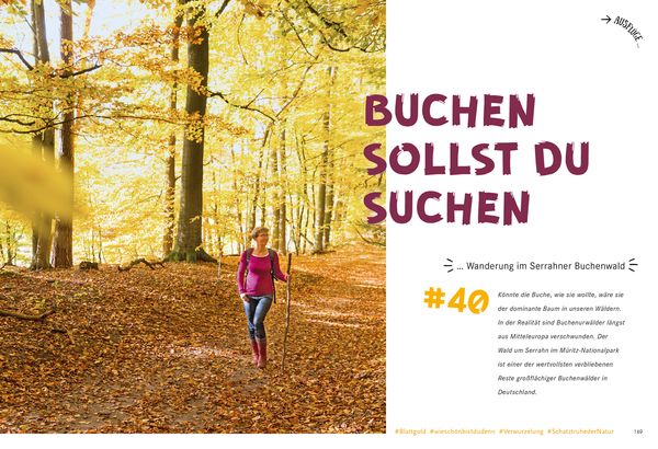 52 kleine & große Eskapaden an den Mecklenburgischen Seen