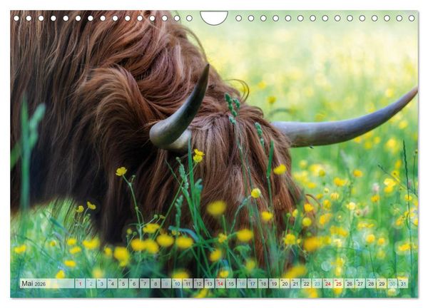 Produktbild: Mein Norderstedt (Wandkalender 2026 DIN A4 quer), CALVENDO Monatskalender