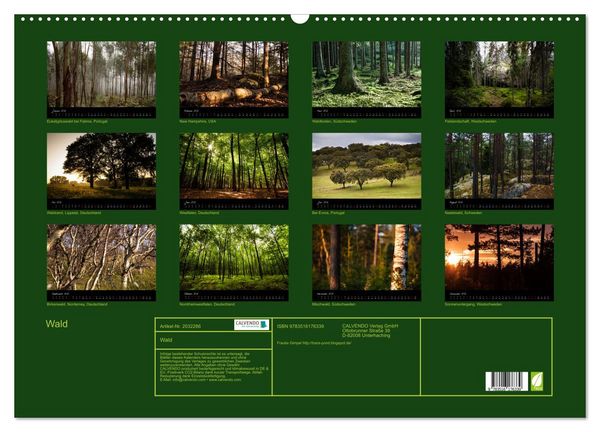 Produktbild: Wald (Wandkalender 2026 DIN A2 quer), CALVENDO Monatskalender