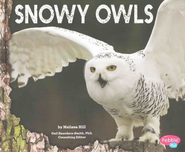 Produktbild: Snowy Owls