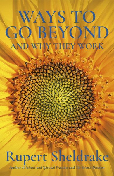 Produktbild: Ways to Go Beyond and Why They Work