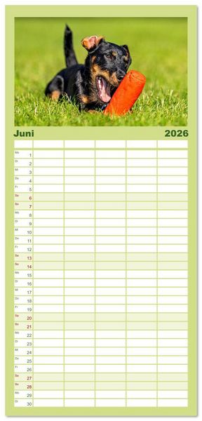 Produktbild: Familienplaner 2026 - Deutscher Terrier - ein leidenschaftlicher J&auml;ger mit 5 Spalten (Wandkalender, 21 x 45 cm) CALVENDO