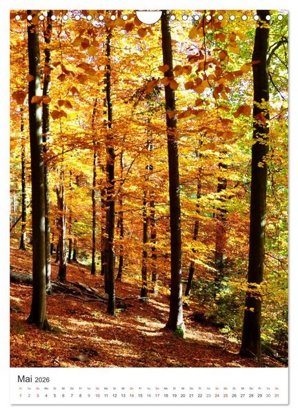 Produktbild: Faszination der Farben im Naturpark Lappwald (Wandkalender 2026 DIN A4 hoch), CALVENDO Monatskalender