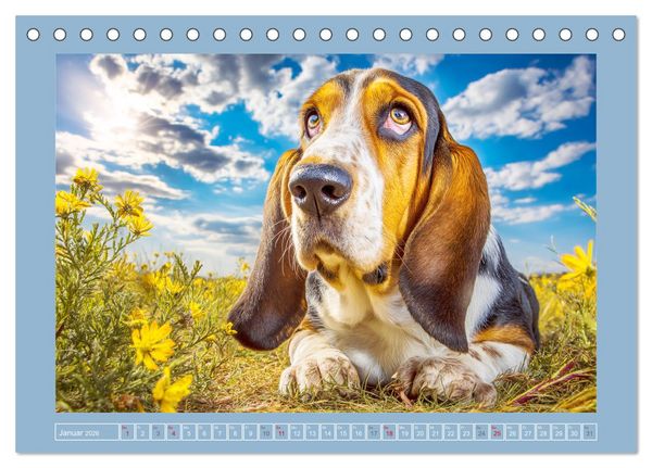 Produktbild: Schlappohren-Zauber. Fr&ouml;hliche Bassets in bunten Momenten (Tischkalender 2026 DIN A5 quer), CALVENDO Monatskalender