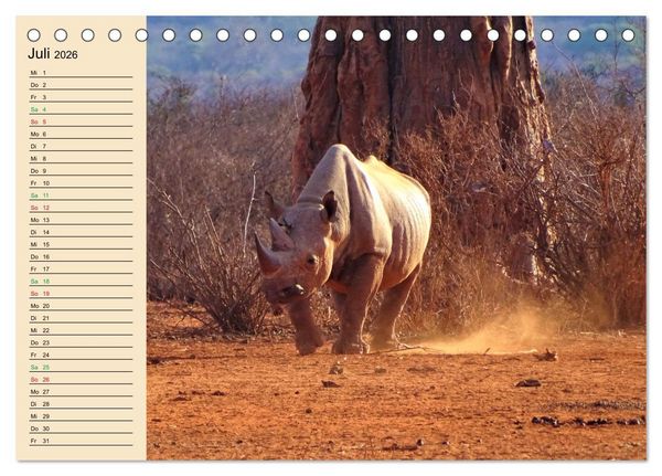 Produktbild: Verr&uuml;ckt nach Safari Verr&uuml;ckt nach Abenteuer in Kenia (Tischkalender 2026 DIN A5 quer), CALVENDO Monatskalender