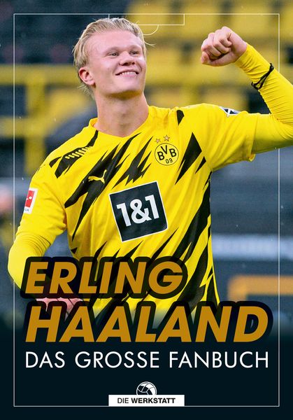 Produktbild: Erling Haaland