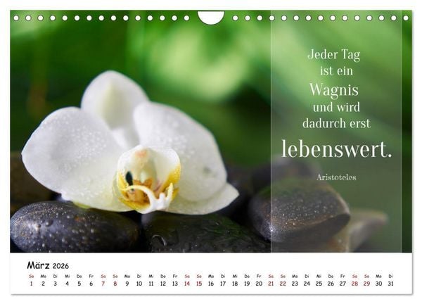 Produktbild: Lebensweisheiten, motivierende Spr&uuml;che und kluge Zitate mit Bildern der Natur (Wandkalender 2026 DIN A4 quer), CALVENDO Monatskalender
