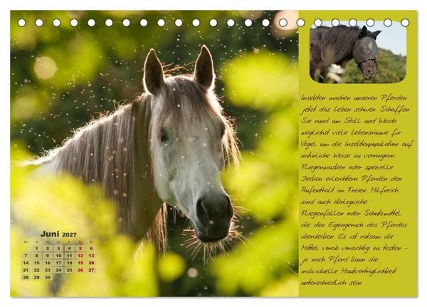 Produktbild: Pferdehaltung Tipps und Wissenswertes (Tischkalender 2027 DIN A5 quer), CALVENDO Monatskalender