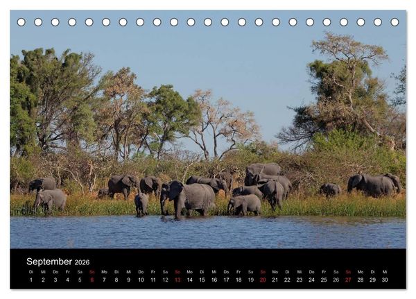 Produktbild: Naturerlebnis Botswana (Tischkalender 2026 DIN A5 quer), CALVENDO Monatskalender