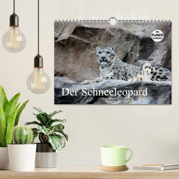 Produktbild: Der Schneeleopard (Wandkalender 2026 DIN A4 quer), CALVENDO Monatskalender