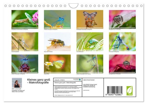 Produktbild: Kleines ganz gro&szlig; - Makrofotografie (Wandkalender 2026 DIN A4 quer), CALVENDO Monatskalender