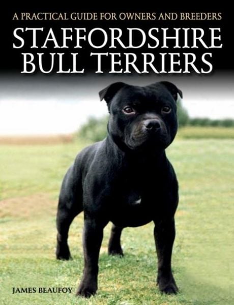 Produktbild: Staffordshire Bull Terriers