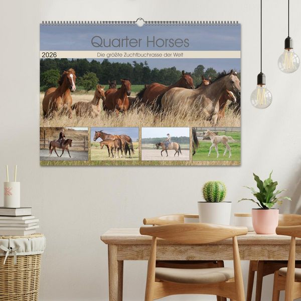 Produktbild: Quarter Horses - Die gr&ouml;&szlig;te Zuchtbuchrasse der Welt (Wandkalender 2026 DIN A2 quer), CALVENDO Monatskalender