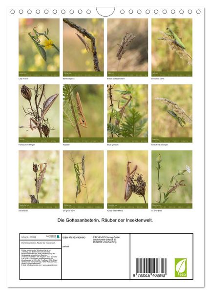Produktbild: Die Gottesanbeterin. R&auml;uber der Insektenwelt. (Wandkalender 2026 DIN A4 hoch), CALVENDO Monatskalender
